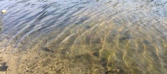 9 rooms Townhouse in Barnim, Germany No. 337045 5