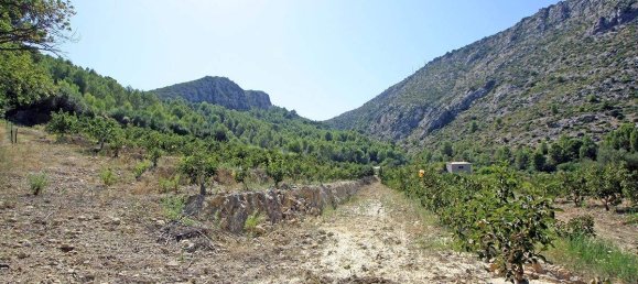  House in Beniarbeig, Spain No. 284866 11