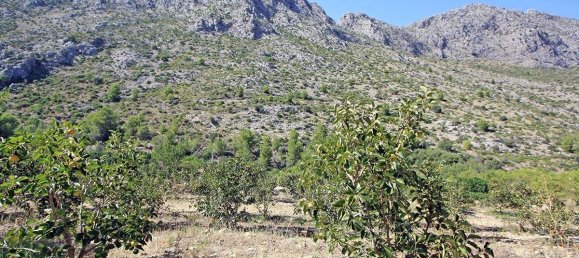  House in Beniarbeig, Spain No. 284866 6