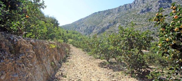  House in Beniarbeig, Spain No. 284866 12