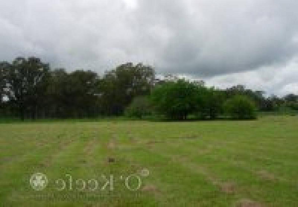 Grundstück in Berazategui, Argentina, Nr. 46104