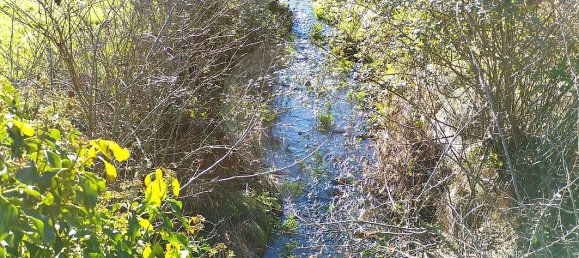 2 bedrooms House in Vila de Rei, Portugal No. 166498 24