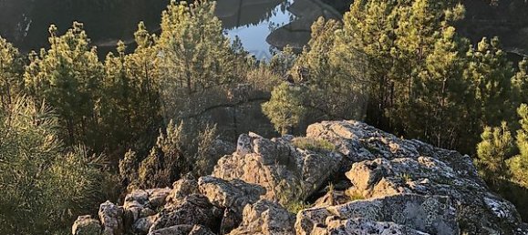 2 bedrooms House in Vila de Rei, Portugal No. 166498 32