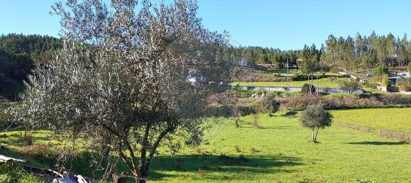 2 bedrooms House in Vila de Rei, Portugal No. 166498 23