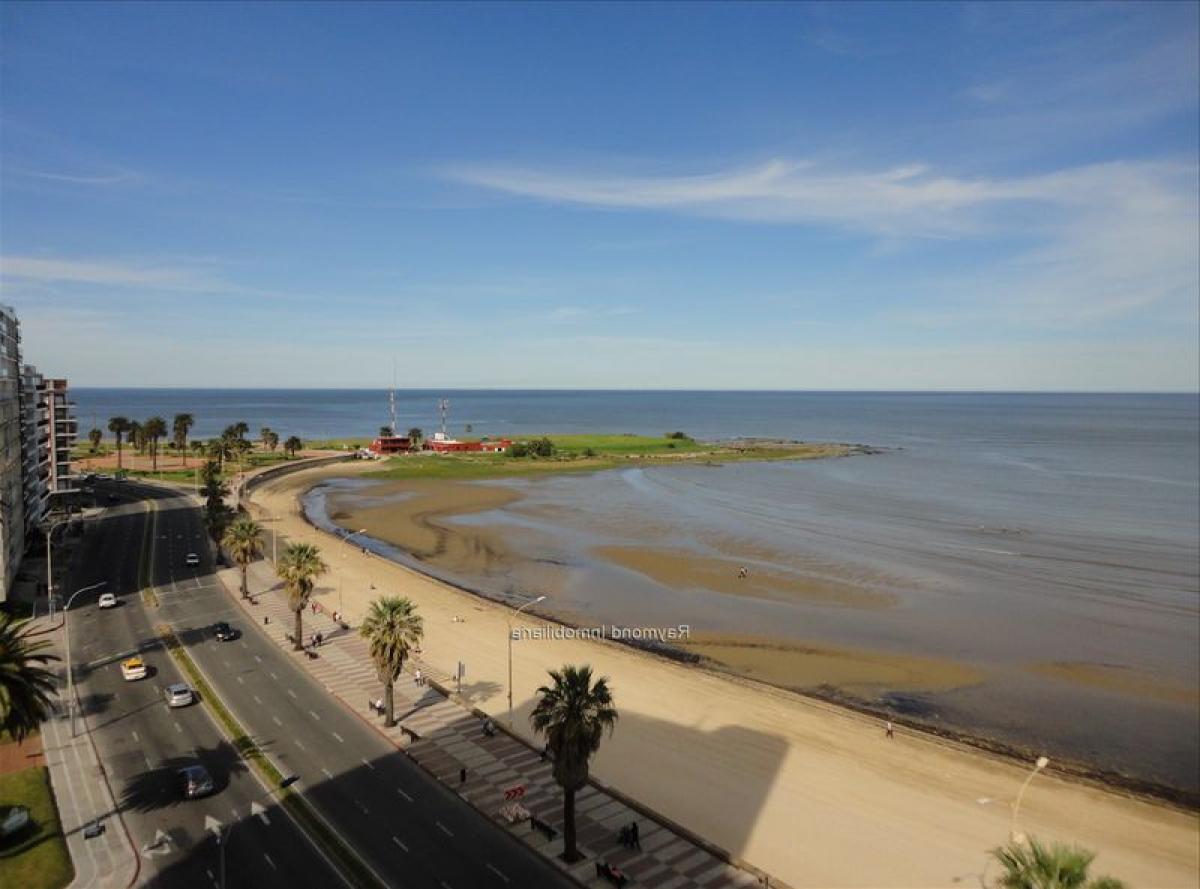 4 bedrooms Apartment in Montevideo, Uruguay No. 3758