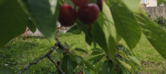 Дом с 3 спальнями в Сюрбур, Франция № 219925 9