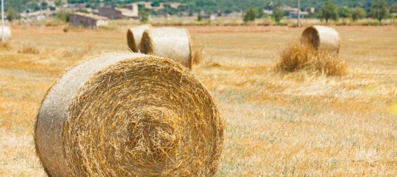 336m² Land in Muro, Spain No. 27640 10