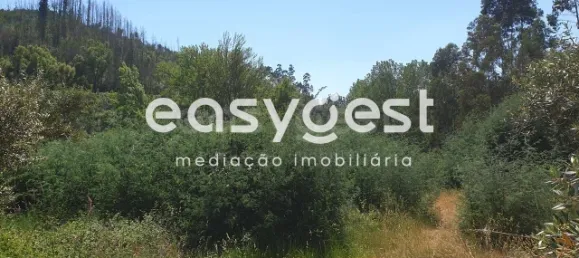  قطعة أرض في Miranda do Corvo, Portugal رقم 90908 4