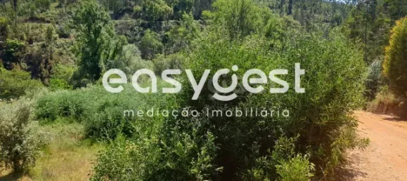  قطعة أرض في Miranda do Corvo, Portugal رقم 90908 3