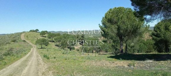 Terreno em Silves, Portugal 803240 m² N.º 9701 10