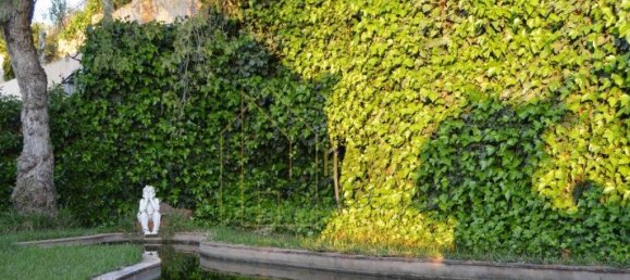  Castillos de 6 dormitorios en Silves, Portugal No. 129270 15