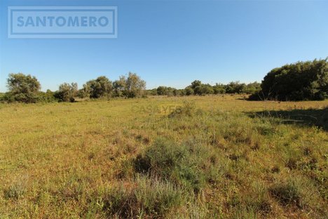  قطعة أرض في Sao Bartolomeu de Messines, Portugal 6080متر مربع رقم 58982