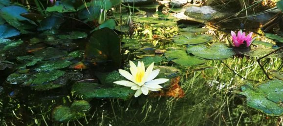 Casa T2 em Heilbronn, Germany N.º 282778 3