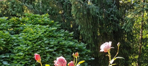 Casa T2 em Heilbronn, Germany N.º 282778 6