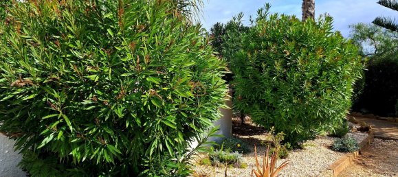 2 غرف نوم تاون هاوس في Luz, Portugal رقم 97744 17