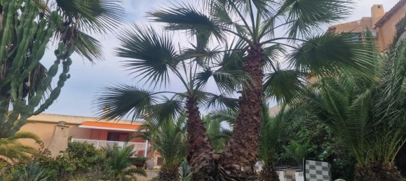 bungalow à vendre à La Mata, Alicante, Valencian Community, Spain № 365728 21