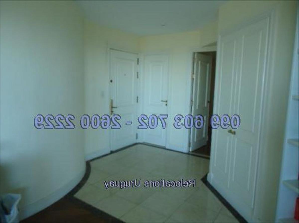 3 bedrooms Apartment in Montevideo, Uruguay No. 4738