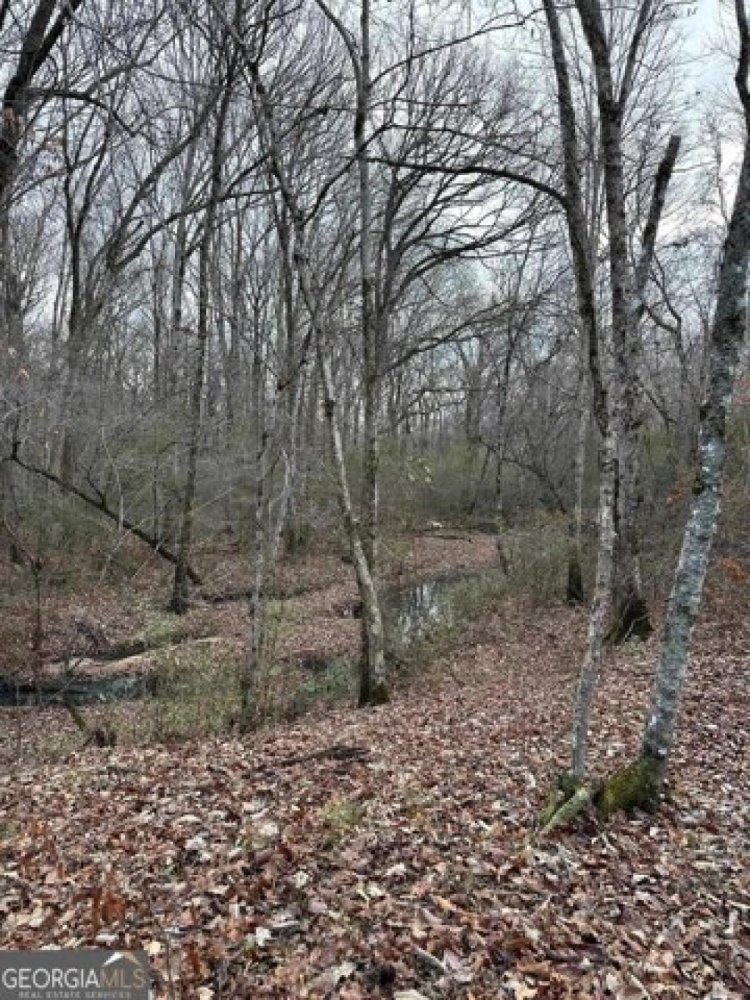  Land in Molena, USA No. 553903