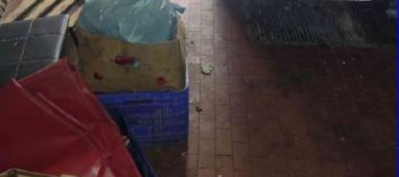 6-Zimmer Wohnung in Turin, Italy, Nr. 277347 25