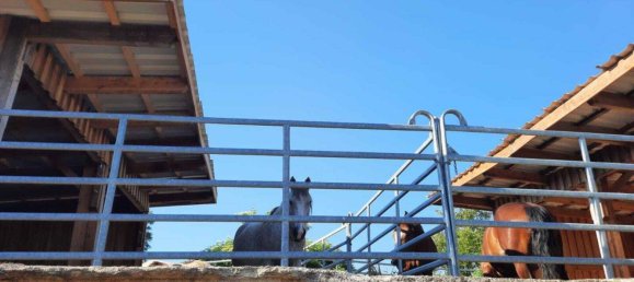 9غرفة قلاع في Zistersdorf, Austria رقم 66913 18