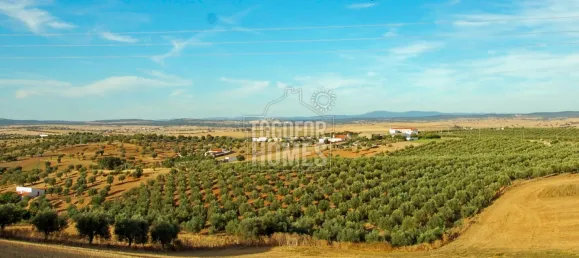 6 bedrooms Hotel in Elvas, Portugal No. 136199 20