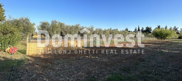 4 bedrooms House in Capalbio, Italy No. 126195 8