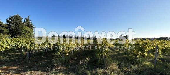 4 bedrooms House in Capalbio, Italy No. 126195 5