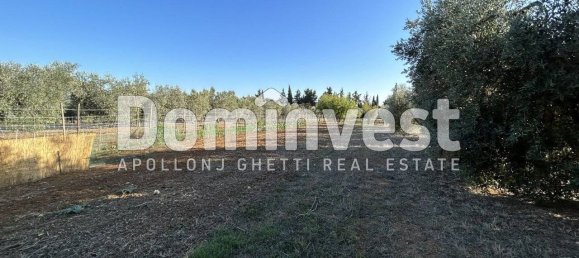 4 bedrooms House in Capalbio, Italy No. 126195 7