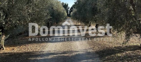 4 bedrooms House in Capalbio, Italy No. 126195 3