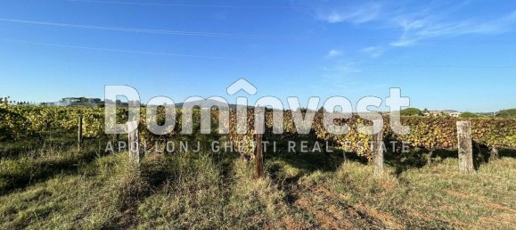 4 bedrooms House in Capalbio, Italy No. 126195 6