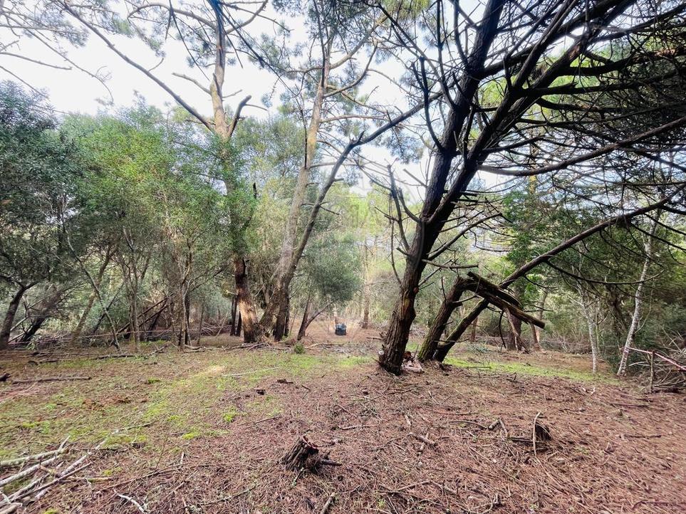  قطعة أرض في Colares, Portugal 1720متر مربع رقم 282628