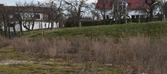  قطعة أرض في Altenburger Land, Germany رقم 187101 4