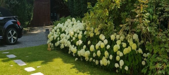 7 bedrooms House in Maisons-Laffitte, France No. 292061 13