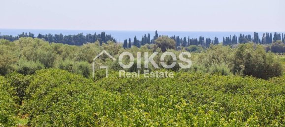 3 Schlafzimmer Villa in Noto, Italy, Nr. 62487 13