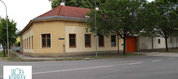 6غرفة منزل في Raasdorf, Austria رقم 218262 2