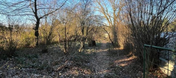 4 bedrooms Townhouse in Cologne, Germany No. 290054 12