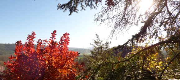 Studio in Ilm-Kreis, Germany, Nr. 58932 5