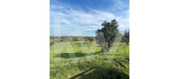 100m² Land in Grandola, Portugal No. 92065 45