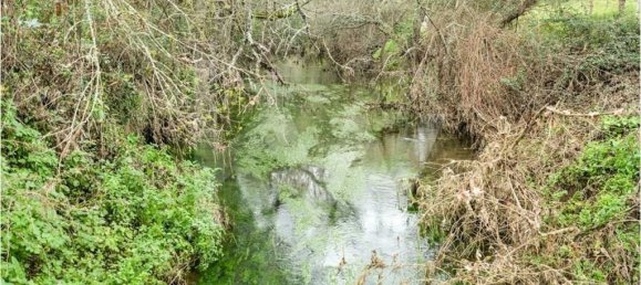 100m² Land in Grandola, Portugal No. 92065 14