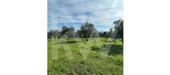 100m² Land in Grandola, Portugal No. 92065 40