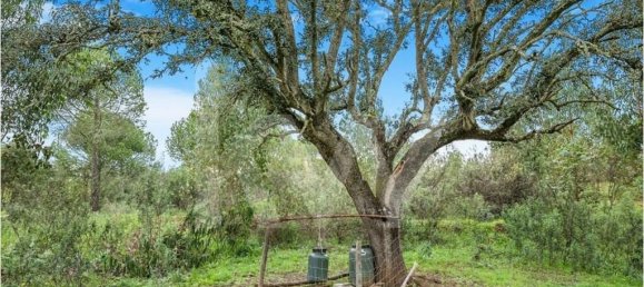 100m² Land in Grandola, Portugal No. 92065 22