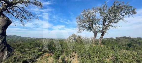 100m² Land in Grandola, Portugal No. 92065 35