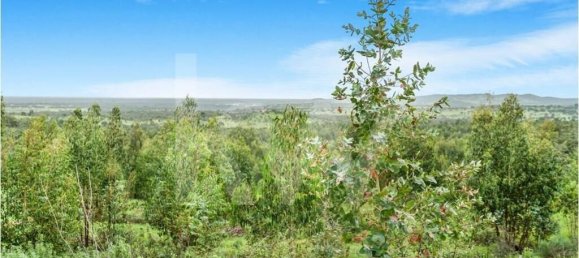 100m² Land in Grandola, Portugal No. 92065 21