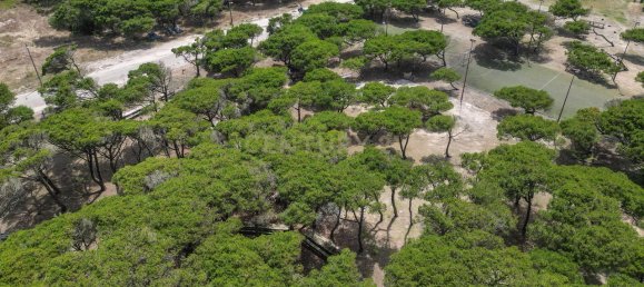 8 Schlafzimmer Haus in Sao Pedro, Portugal, Nr. 141731 17