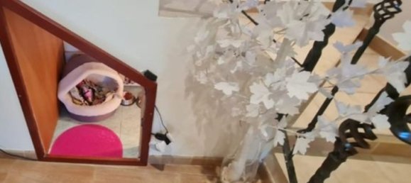 3-salle Maison à Rovito, Italy No. 35071 19