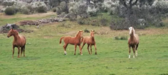  قطعة أرض في Ledesma, Spain 7000000متر مربع رقم 61443 4