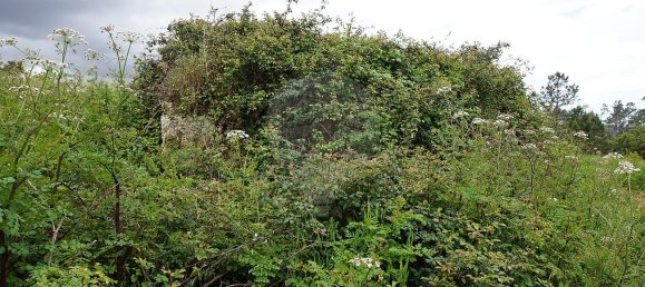 1 bedroom House in Alfarelos, Portugal No. 31317 2