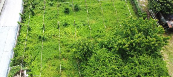 987m² Land in Brentino Belluno, Italy No. 153483 33