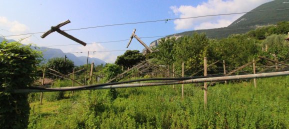 987m² Land in Brentino Belluno, Italy No. 153483 48