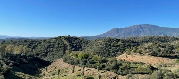 Terreno em Estepona, Spain 2957 m² N.º 28270 6